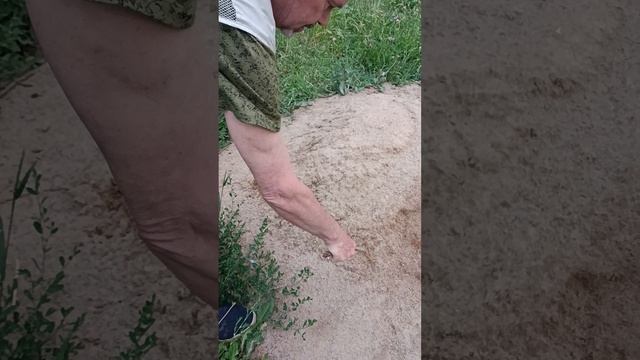 elbrus.mp4