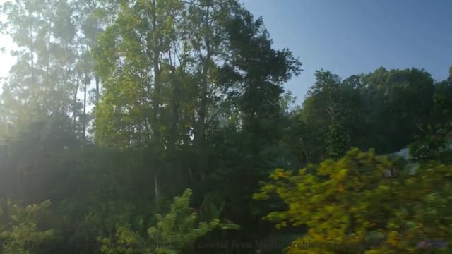 Эти места созданы для любви, а музыка - для вас двоих! - _Tiempo Santo (VII) -- opo -- Estudios Indi