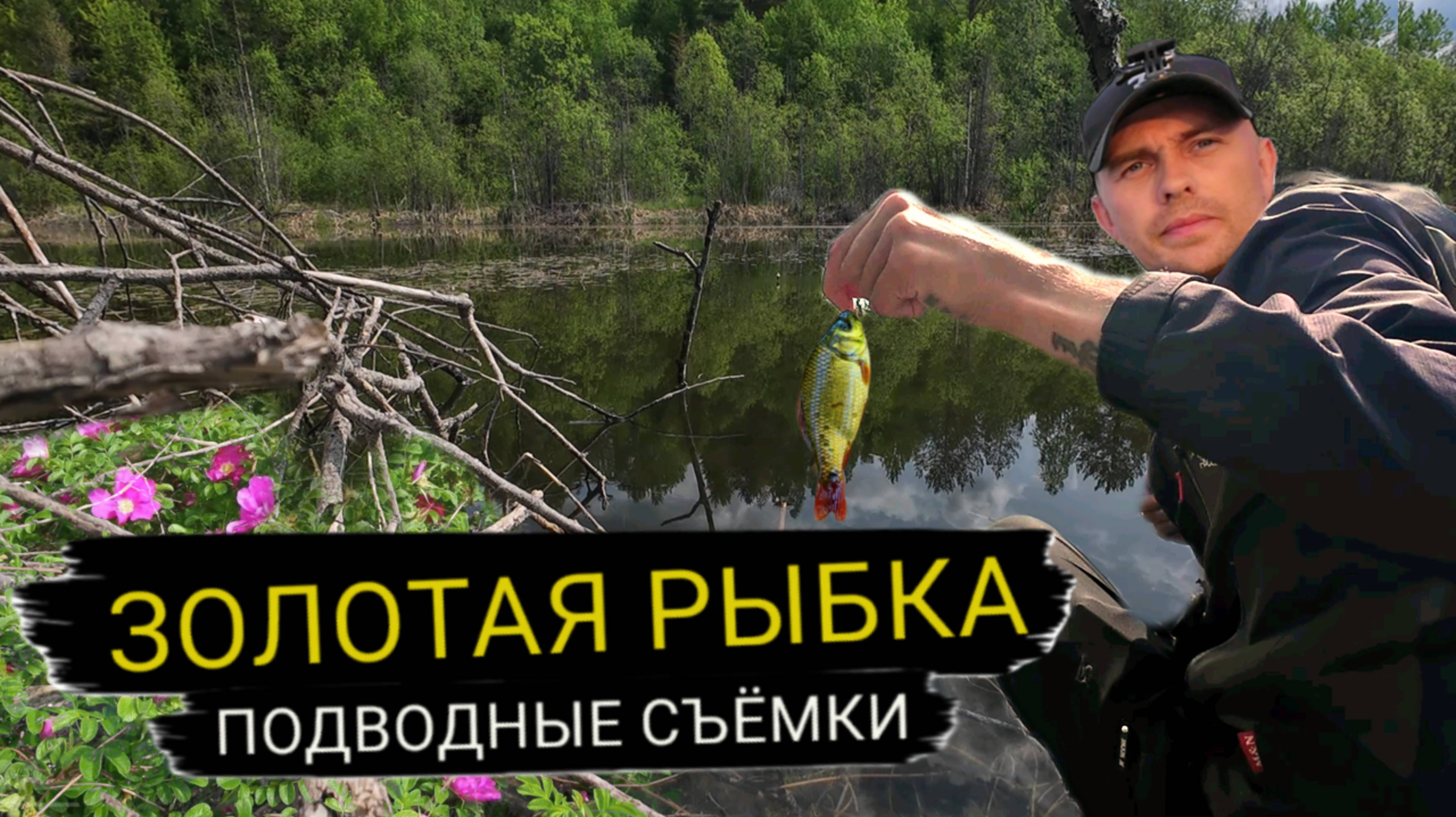 Ловлю золотого карася. Подводные съёмки. Тестовая рыбалка. .mp4