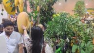Mango festival Doha 2025 Манго фестиваль Доха Катар 2025 июнь