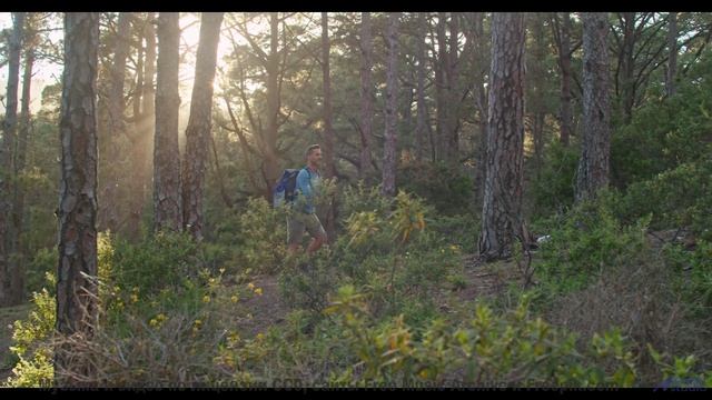 Почему это видео УДАЛЯЮТ с YouTube - Duck Pond -- Scott Holmes Music -- Music for TV + Film Vol. 1