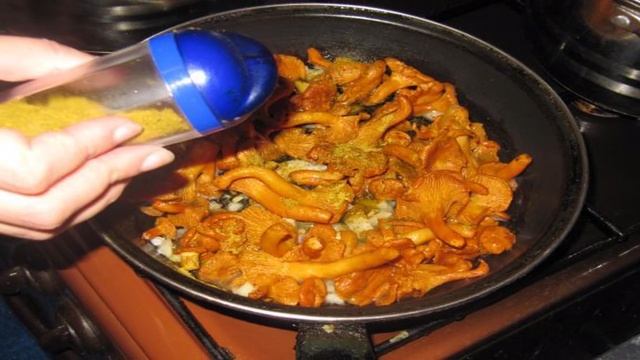 Картофельное пюре с лисичками