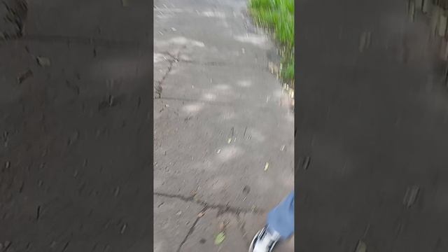АЛИСА ВОЖАТАЯ .. !! 🤯🤯🤯