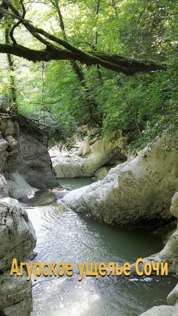 Сочи 2025, Сочи природа, Сочи что посмотреть, ущелья водопад #сочисегодня #водопады #ущелье