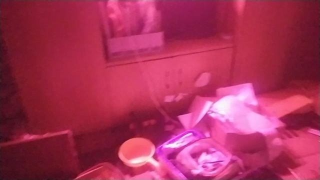 VID_20250617_204449.mp4