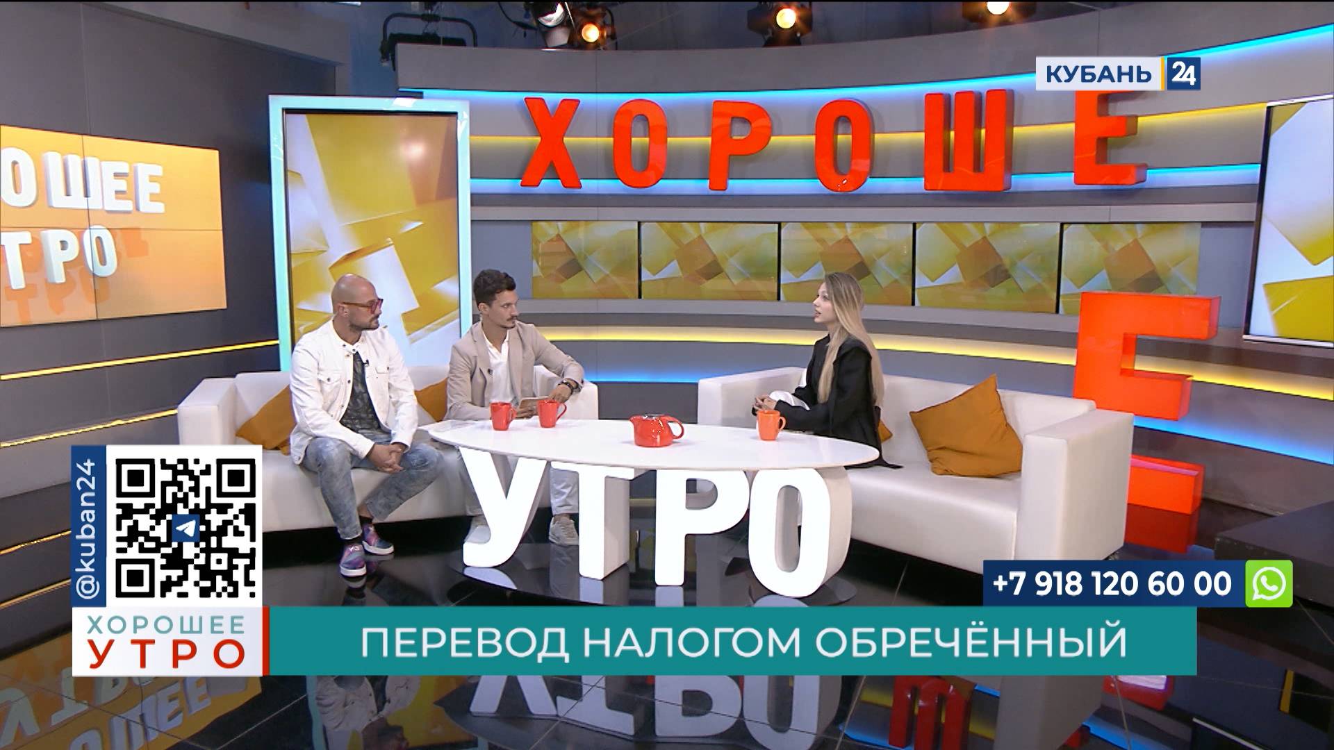 Милена Елец: налоги платят не на переводы, а на доходы