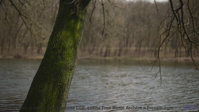 Камера летит над полями, музыка бьёт по сердцу - Jah-River -- Ketsa -- Reflective Processes