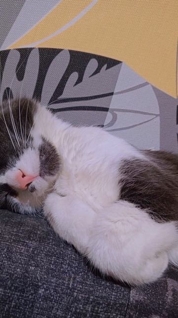 😀