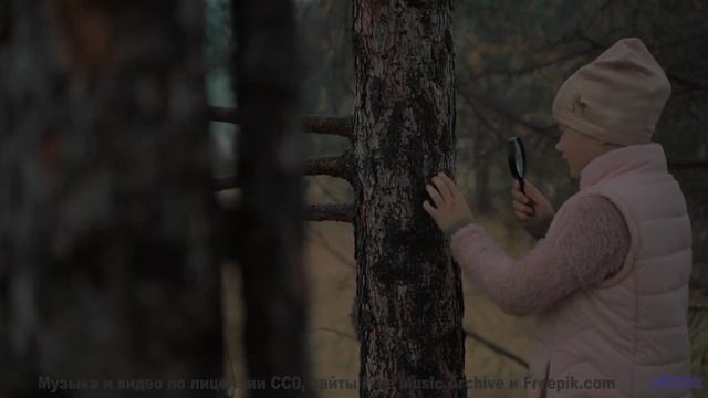 Трек, который вы включите, когда впервые увидите океан вместе - she is a system of repetitions -- lo