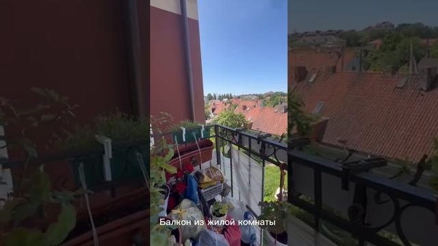 Пионерск
