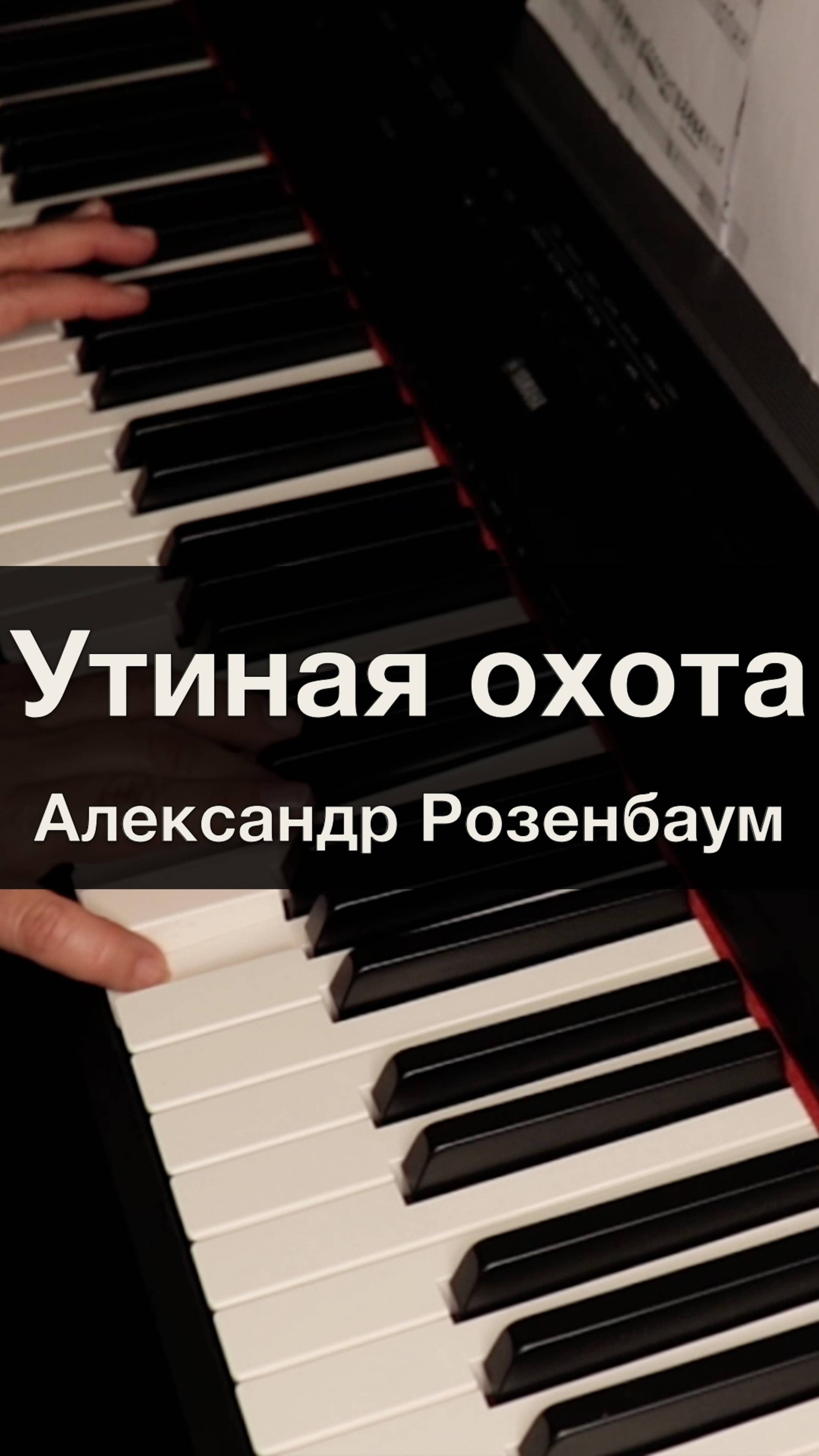 Александр Розенбаум – Утиная охот
