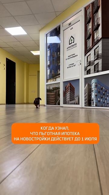 Льготная ипотека заканчивается 1 июля 2024 #недвижимость #застройщики #купитьквартир #ипотека