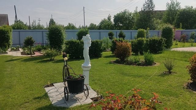 Газон