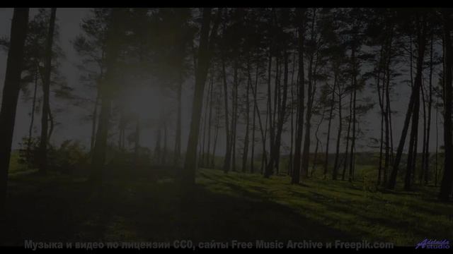 Клип, созданный на орбите чёрной дыры - технологии будущего! - Lucid Dreaming -- HoliznaCC0 -- Left