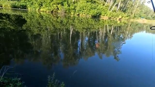 Душевная рыбалка на поплавок.