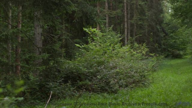 Эта дорога ведёт к месту, где начинается ваша история! - Вампир (feat. Никита Прокопьев) -- POVALISH