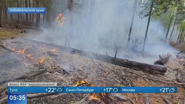 Первый канал, Борьба с лесными пожарами, 17 июня 2025