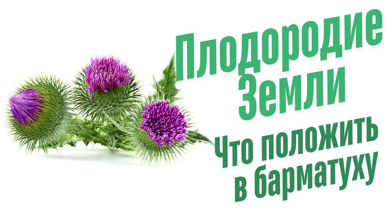 Что положить в Барматуху?