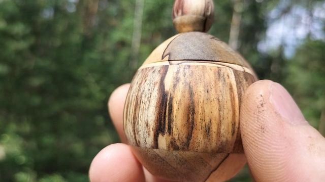 Шкатулка в июньском лесу на двуствольной березе