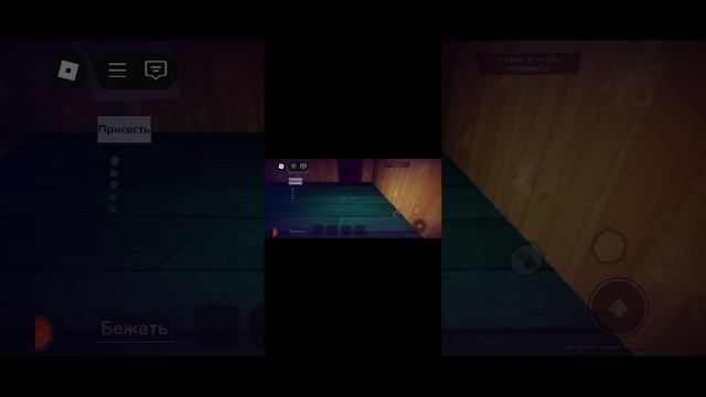 1000002933.mp4