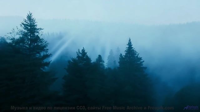 Каждая нота ложится на пейзаж точнее кисти художника - Deum Nocte -- AKMV-18 -- AKMV-18 7.62x39mm EP