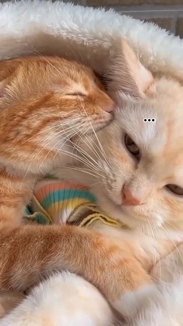 🩶 Ты любишь, но чувствуешь одиночество рядом?
Ты рядом, но как будто в разных мирах?