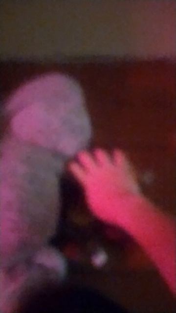 VID_20250617_191056.mp4