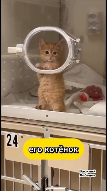 Клип @mem_archive