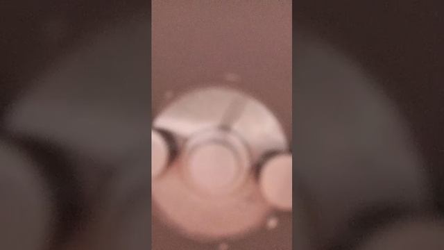 Что делать с туристским хомячком?