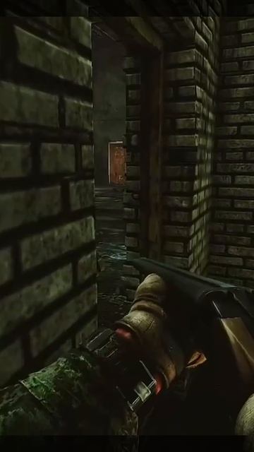 Побег Из Таркова EscapeFromTarkov БОТЫ ДИКИИ ОСЛЕПЛЕННЫЕ СВЕТОШУМОВОЙ ГРАНАТОЙ ШМАЛЯЮТ ДРУГ В ДРУГА