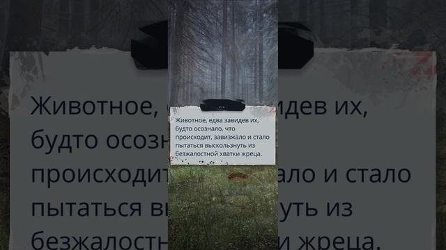 И поглатит нас морок часть 3