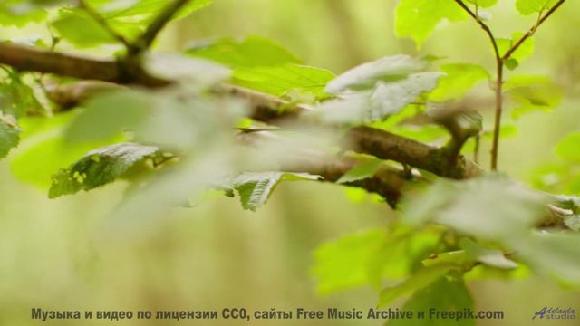 Пейзажи танцуют вместе с каждой нотой - Звёздный комбайнёр (feat. Александр Либерзон) (Кассиопея cov