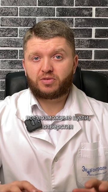 Откуда клопы?