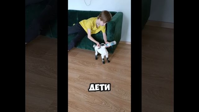 Беременность ❤️