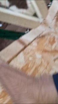 1000026759.mp4 (Собака смотрит на крепление имитации бруса внутри дома А-фрейм)