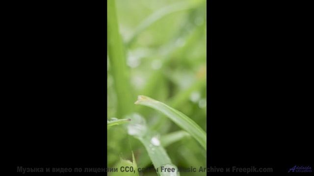 Это видео - как глоток свежего зимнего воздуха! - Invisible -- Ketsa -- Summer With Sound