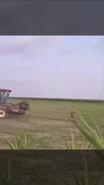 Ухилянт на комбайне за ТЦК😉✌👍😂😂😂