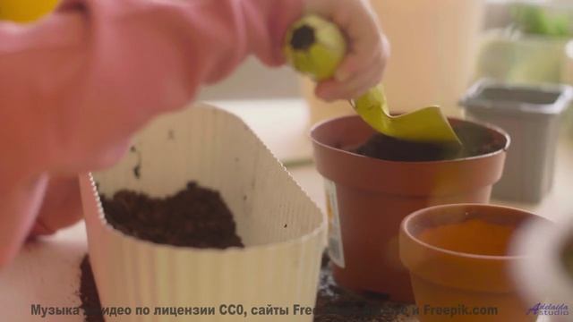 Почему эту мелодию называют музыкой просветления - Lulu -- Ayla Nereo -- Play Me a Time