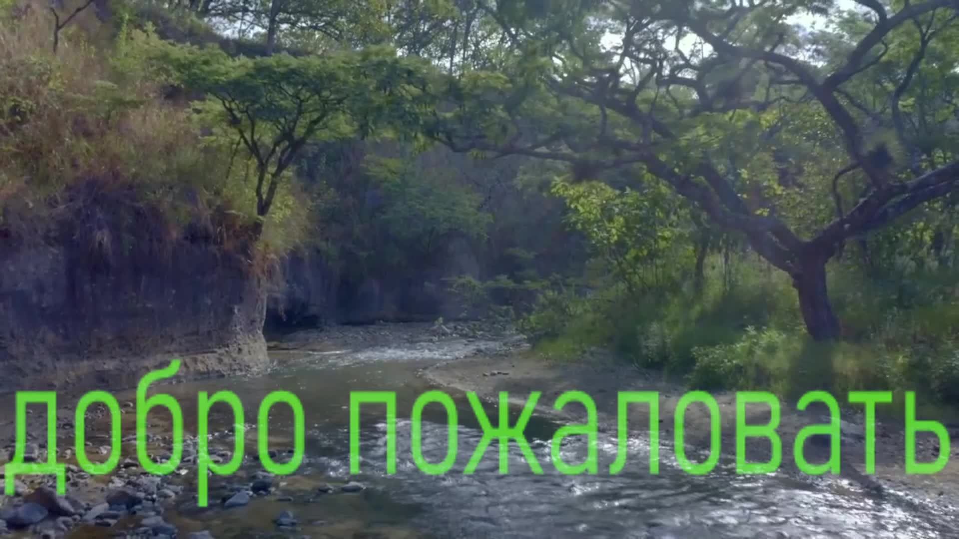 ARK Survival Evolved