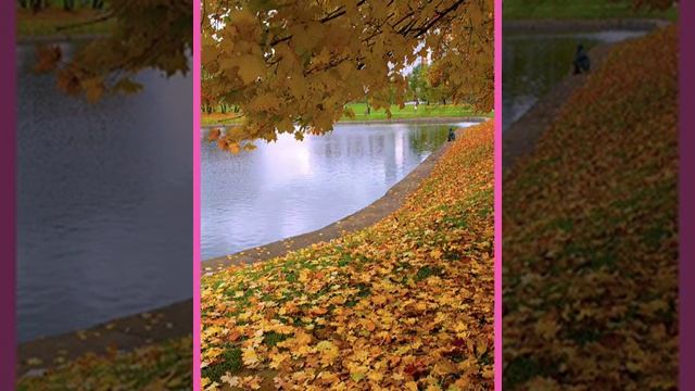 СКОЛЬКО В МИРЕ КРАСОТЫ! 🌺🌞🦋 Видео на стихи✍️ автора ©Светлана Гмызина 💖