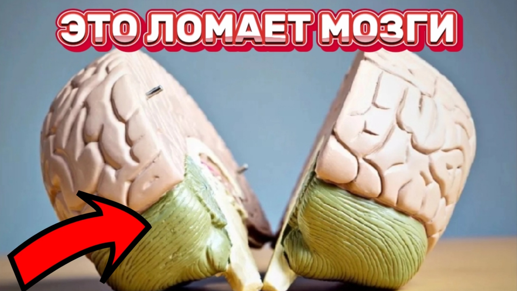 Твой мозг ломается, когда узнает новую информацию