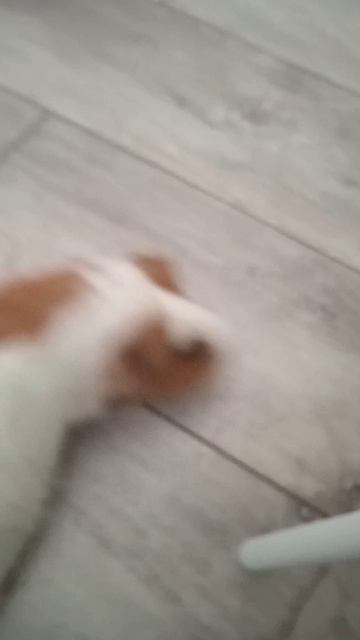 так я иду в школу и как я иду из школы