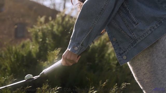 Лес поёт - вы слышите - Years -- Kirk Osamayo -- Season Two (GREEN)