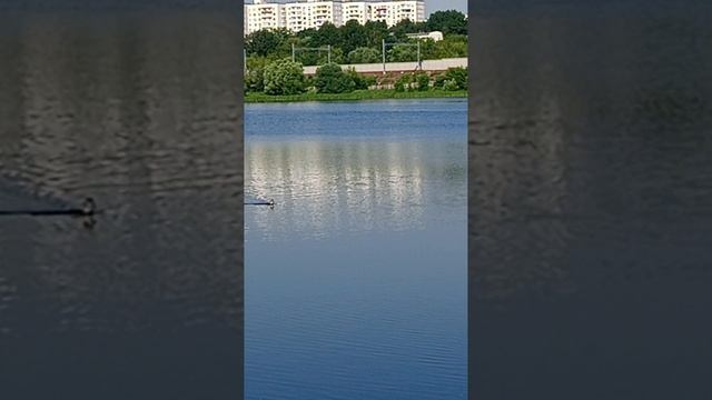 1000020272.mp4