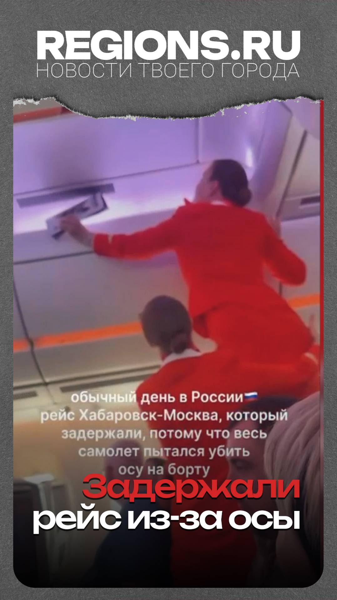 Задержали рейс из-за осы