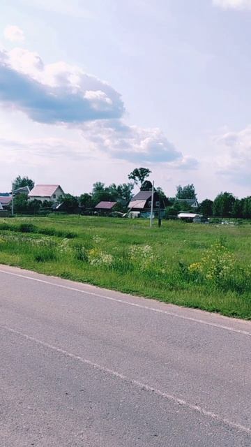 Опасно низкий перелёт аиста через дорогу 😳