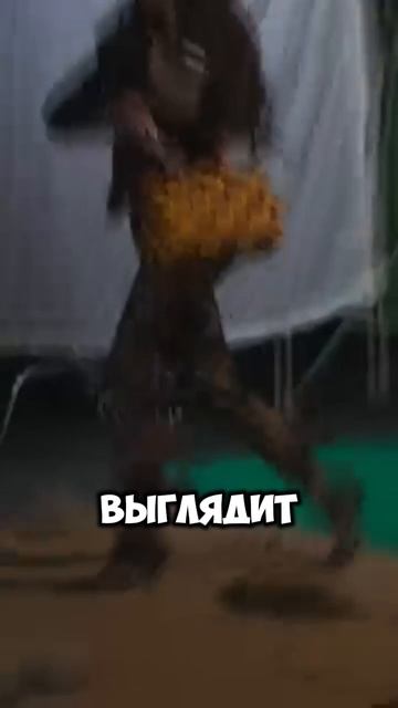 ИНСТАСАМКА УБИРАЕТ ИМПЛАНТЫ? #shorts #instasamka #инстасамка #пластика