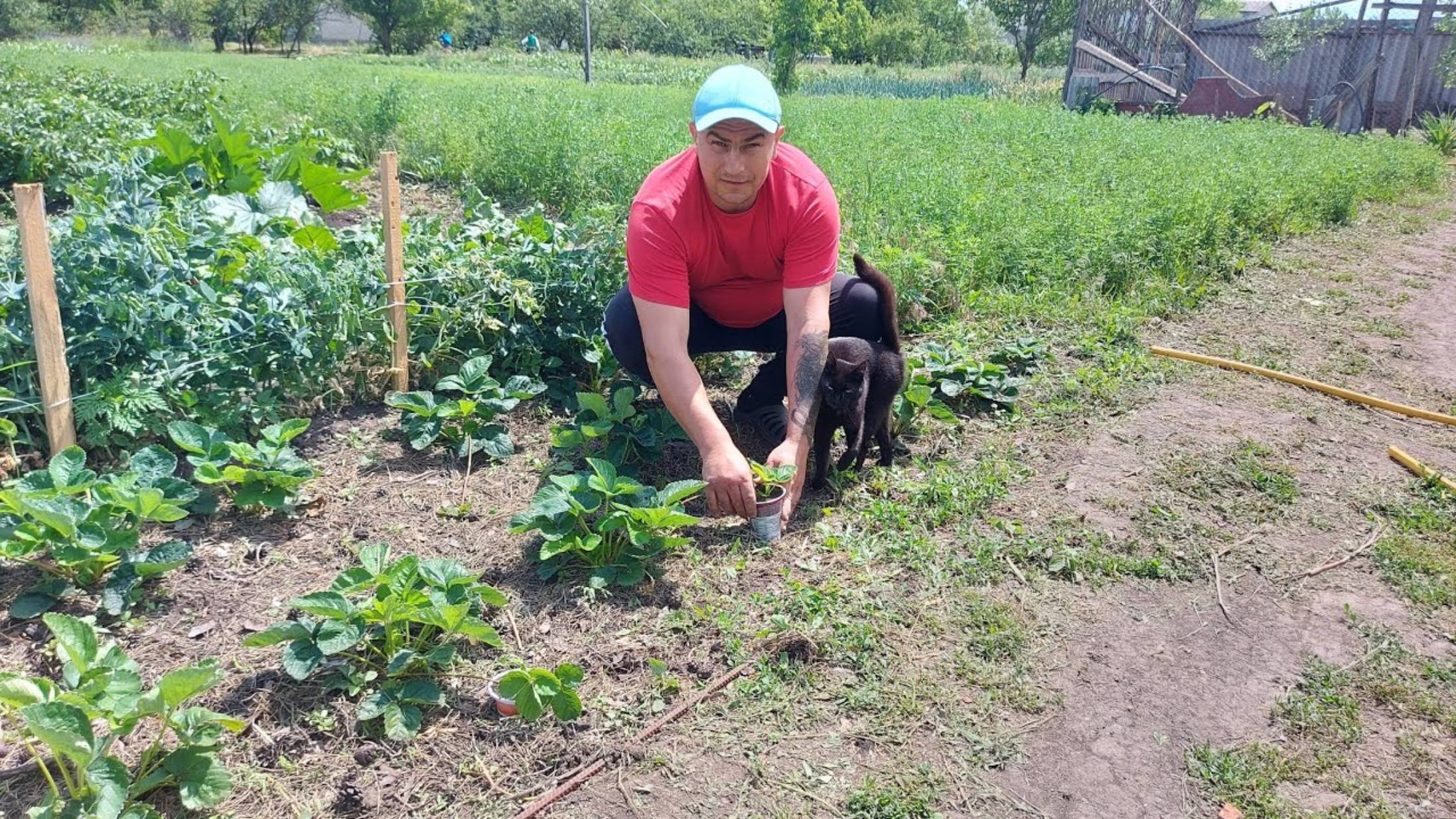 Саня Новиков. Кормление Шоколадки))) Процесс начинается!!!