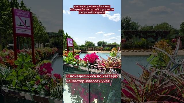 Как на море, но в Москве: в Парке Горького оборудовали «морской» курорт