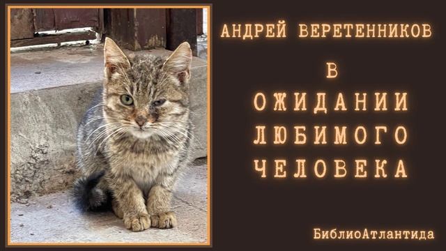 Андрей Веретенников "В ожидании любимого человека" / Lacrimoso